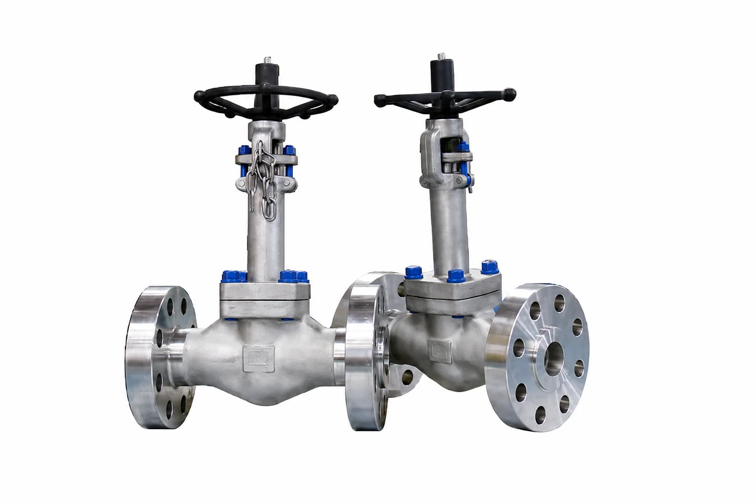 Gate & globe valves